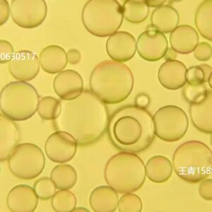 hollow glass microsphere